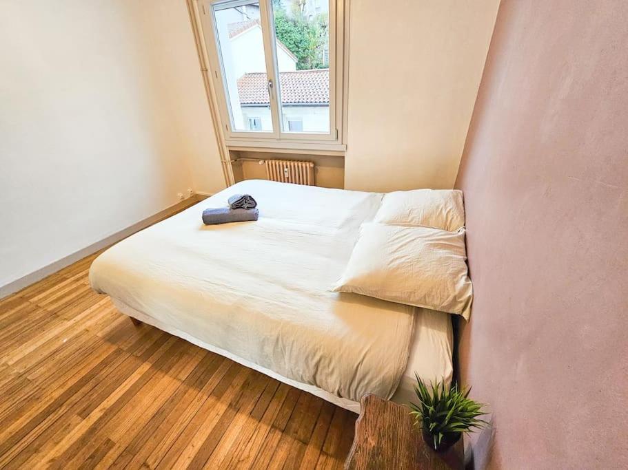 Le Bergson 3 Chambres Stationnement Gratuit Saint-Etienne  Ngoại thất bức ảnh