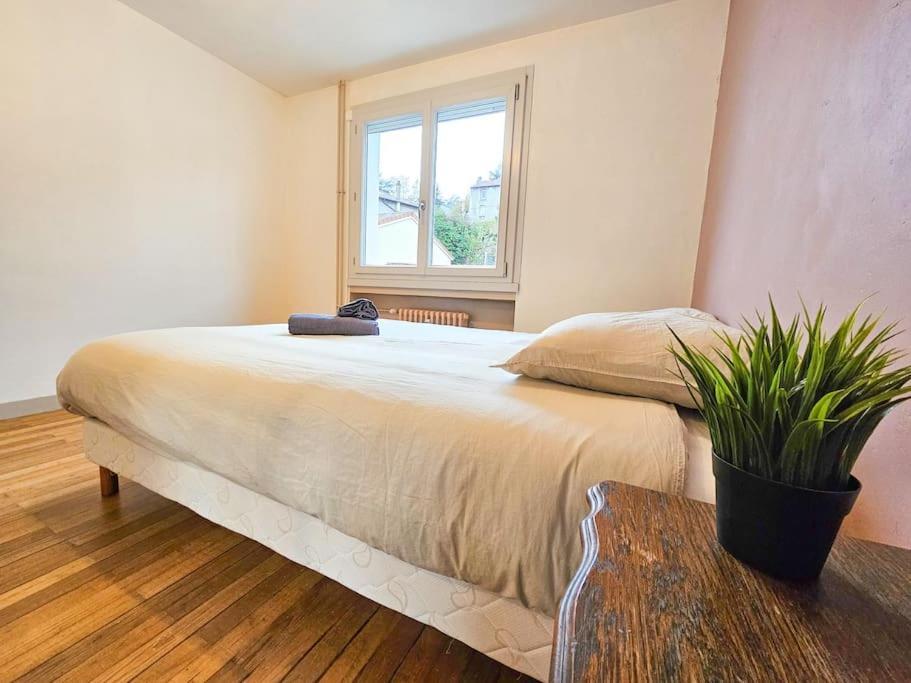 Le Bergson 3 Chambres Stationnement Gratuit Saint-Etienne  Ngoại thất bức ảnh